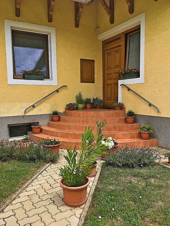 Petra Apartmanhaz バダチョニトマイ エクステリア 写真