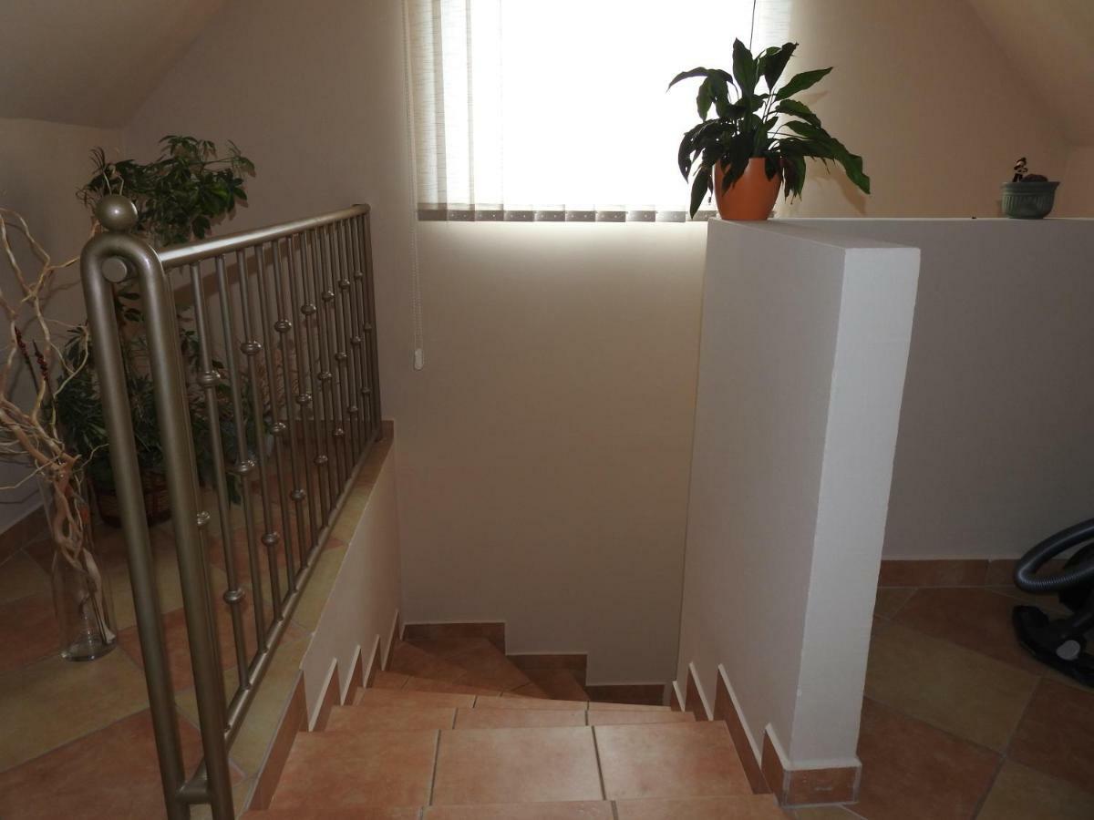 Petra Apartmanhaz バダチョニトマイ エクステリア 写真